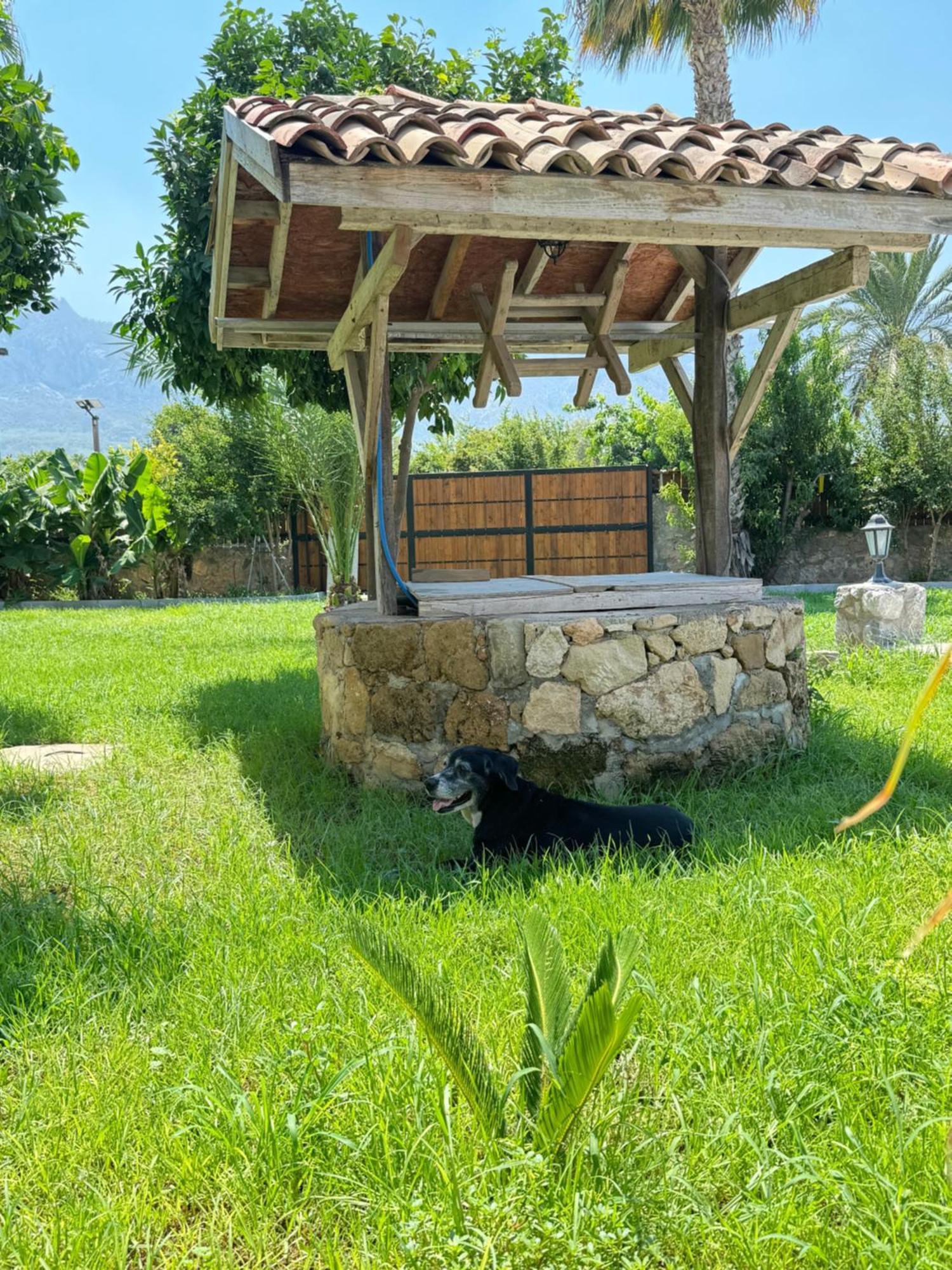 The Horse Farm Hotel Agios Georgios  Dış mekan fotoğraf