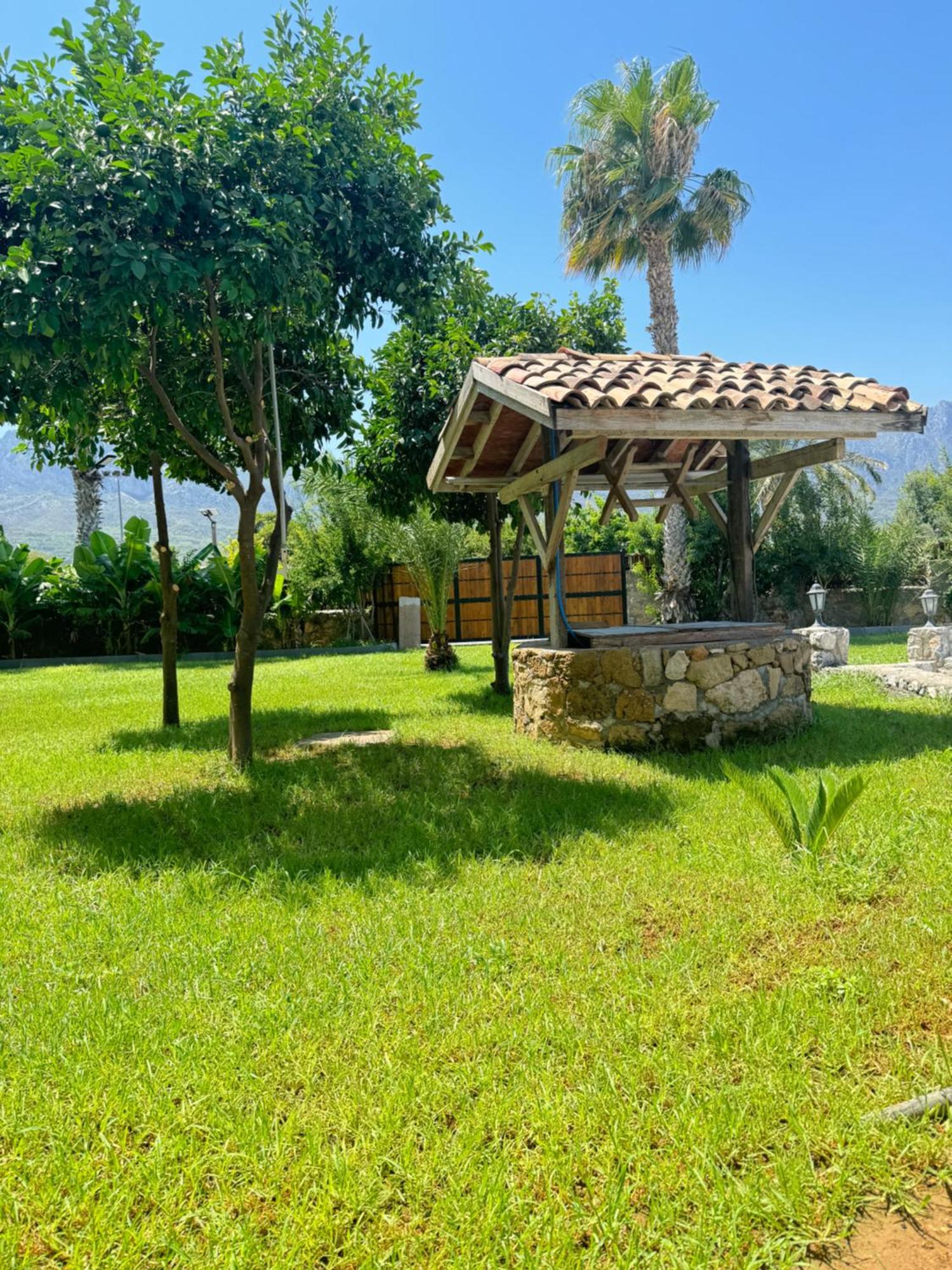 The Horse Farm Hotel Agios Georgios  Dış mekan fotoğraf