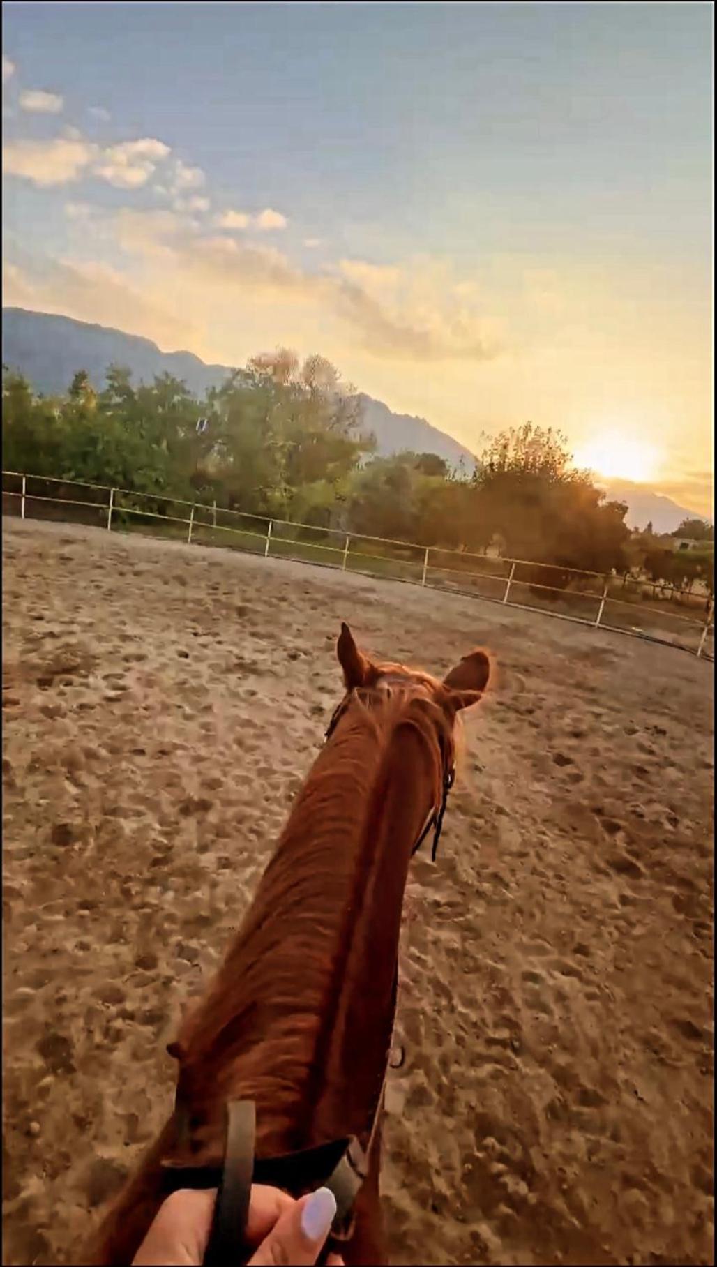 The Horse Farm Hotel Agios Georgios  Dış mekan fotoğraf